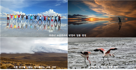 진한 여운을 남긴 남미여행 - 2026년 1월 18일팀