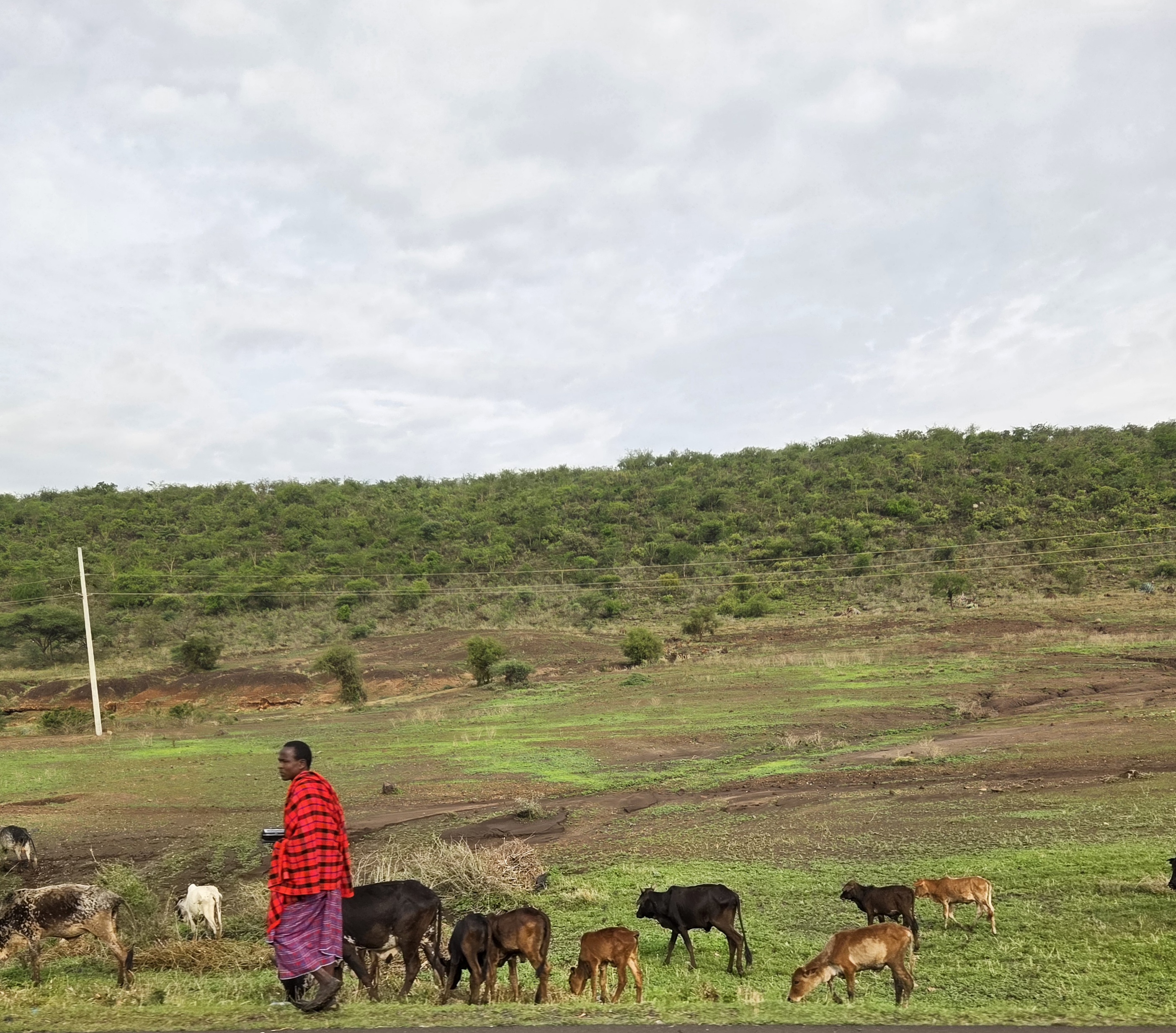 낯선여행 아프리카