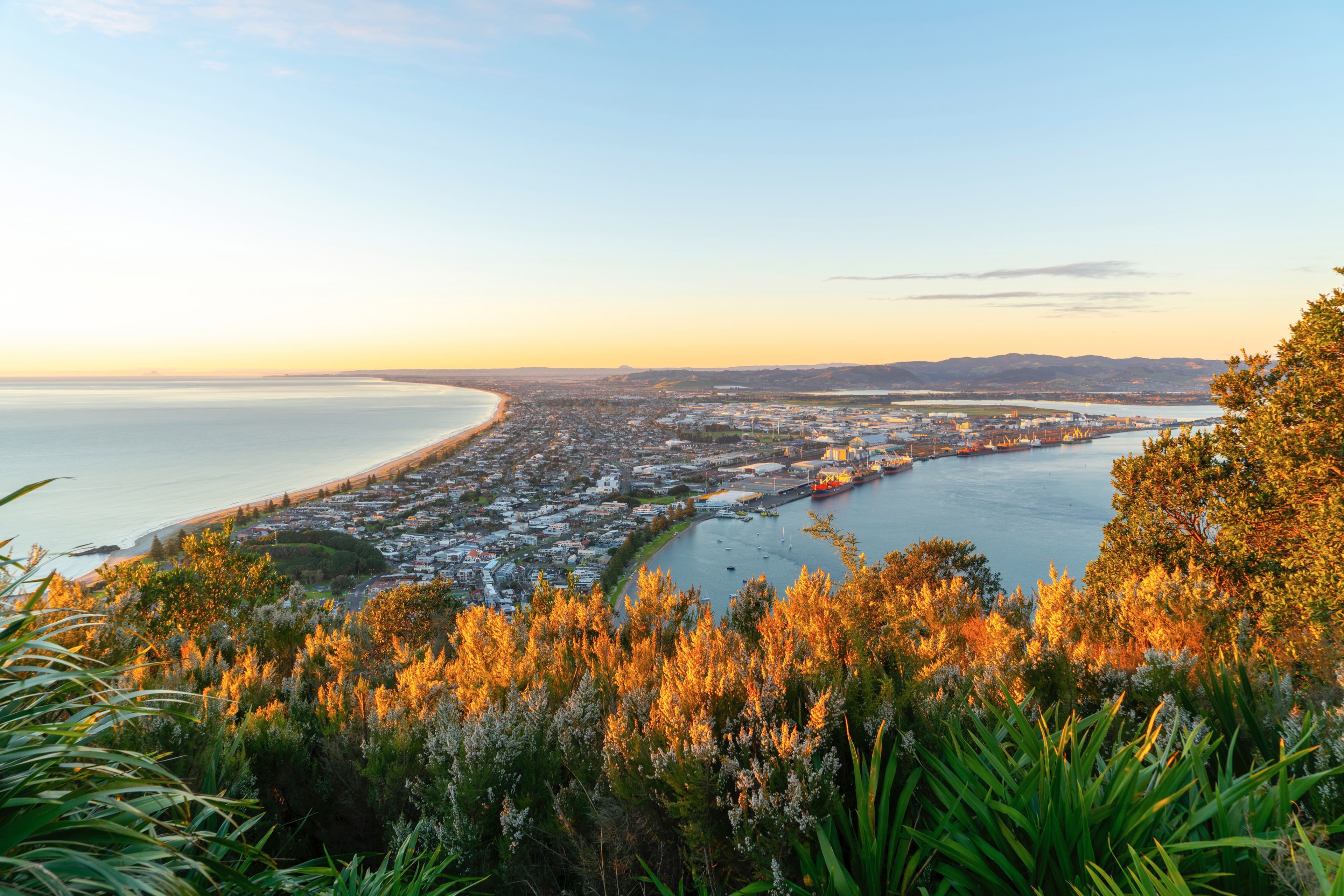 Tauranga