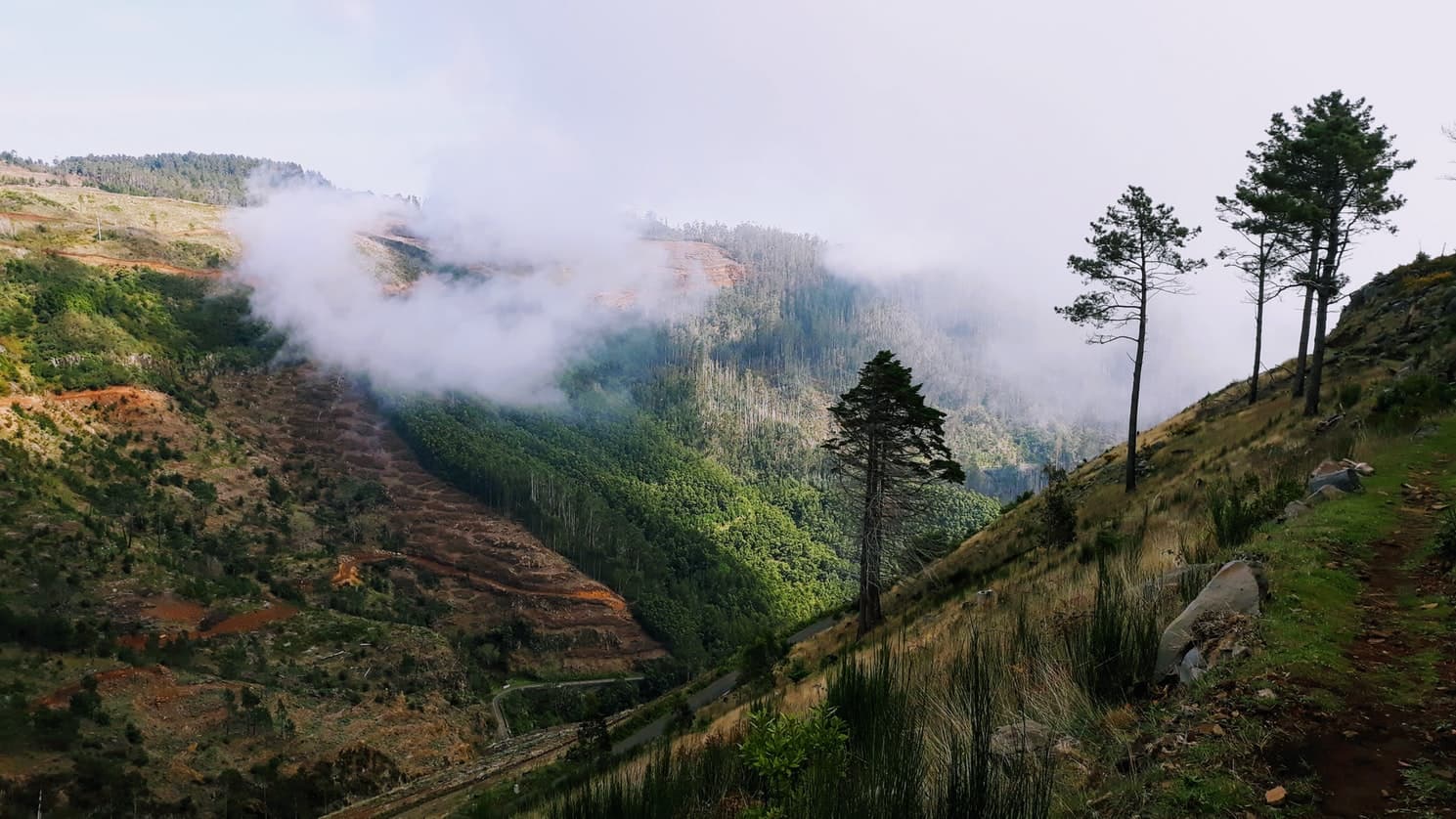 PTFNC - Funchal, Madeira, Portugal - Photo credit Alex Tudor.jpg