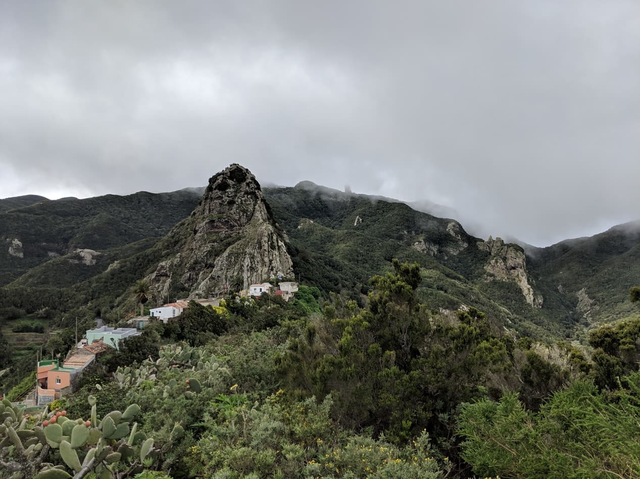 ESSCT - Santa Cruz de Tenerife, Spain - photo credit belongs to Ivanna Hrytsiuk.jpg