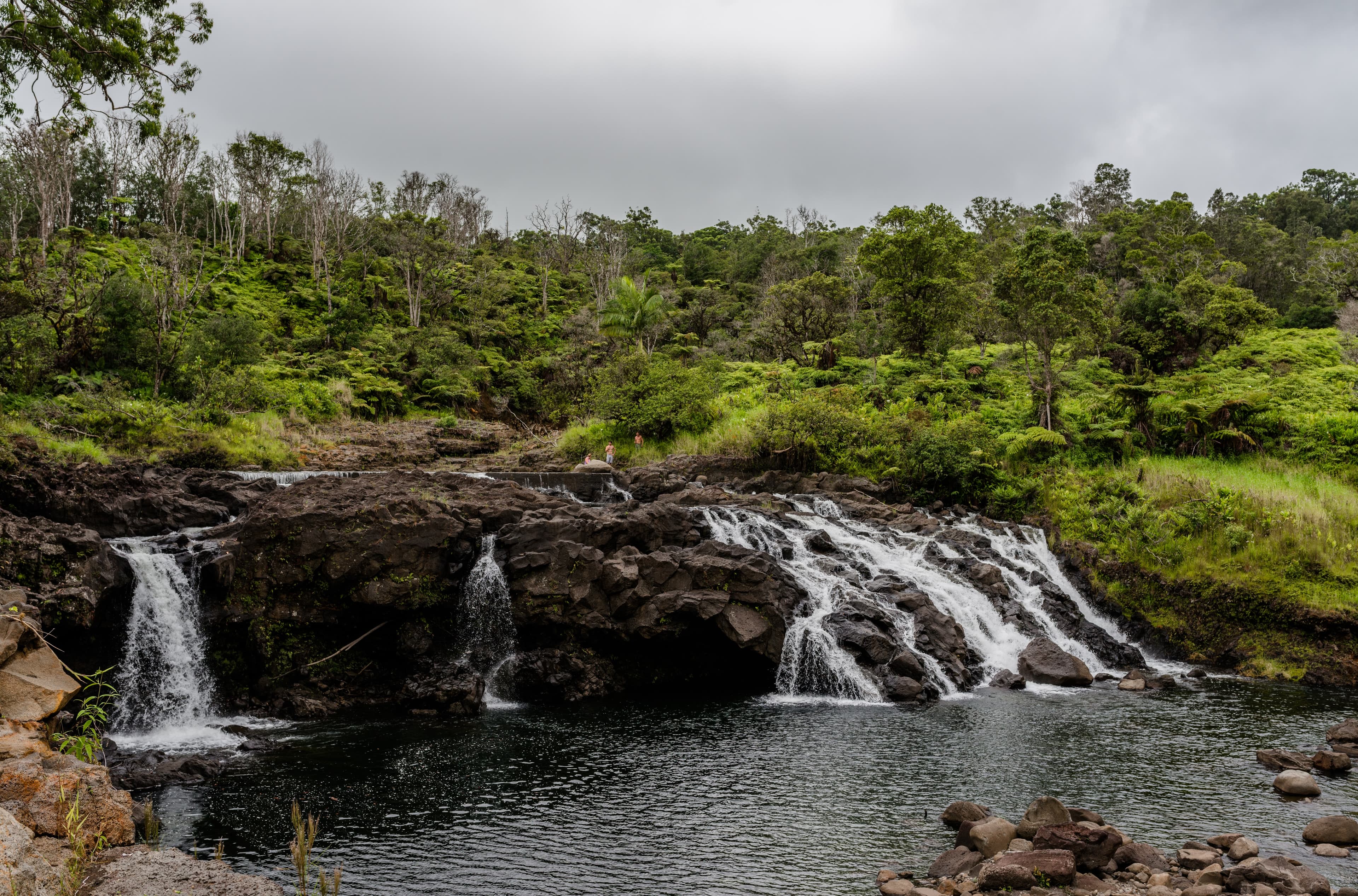 USITO - Hilo, Hawaii, United States - PC Heather Morse.jpg