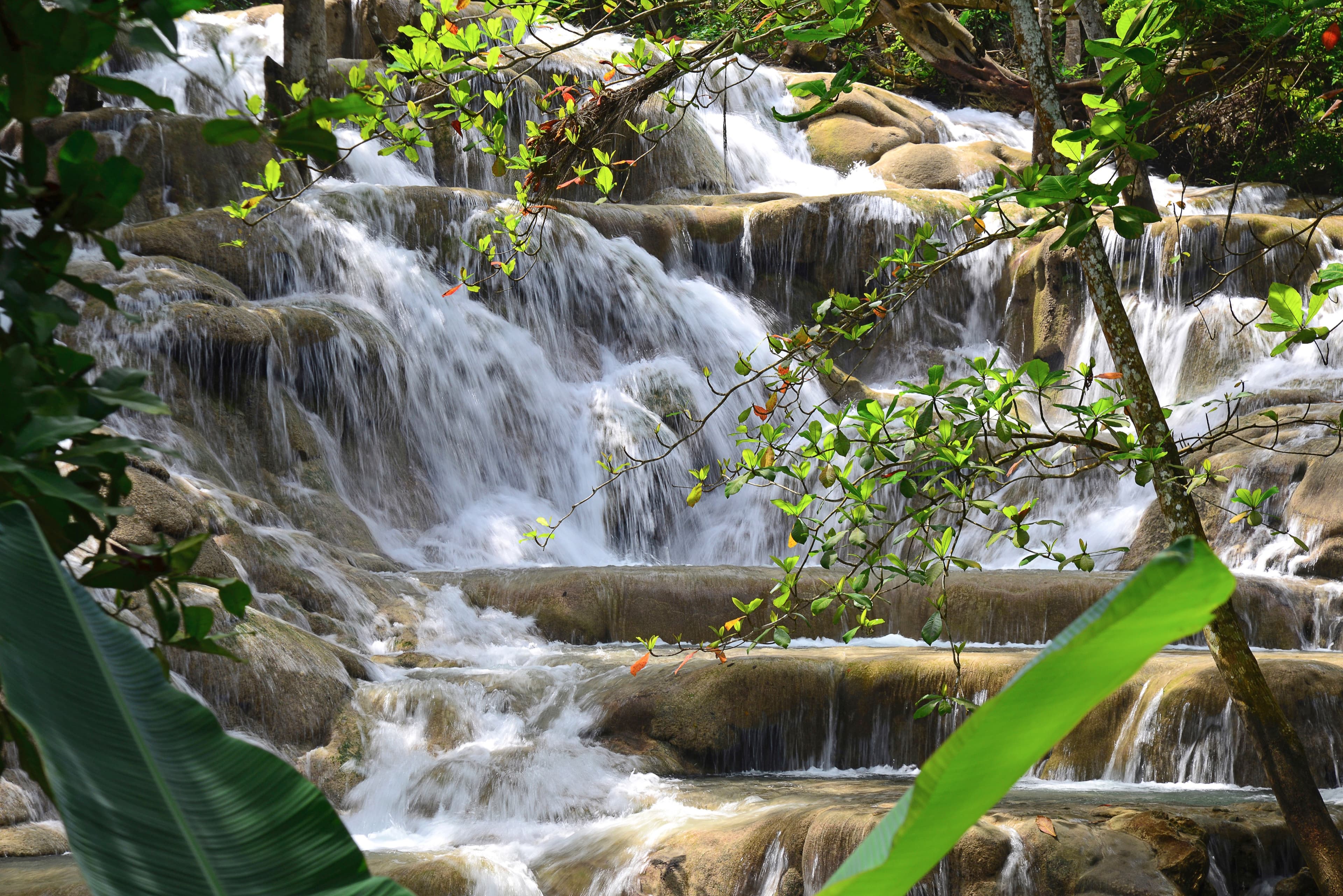 Falmouth Jamaica