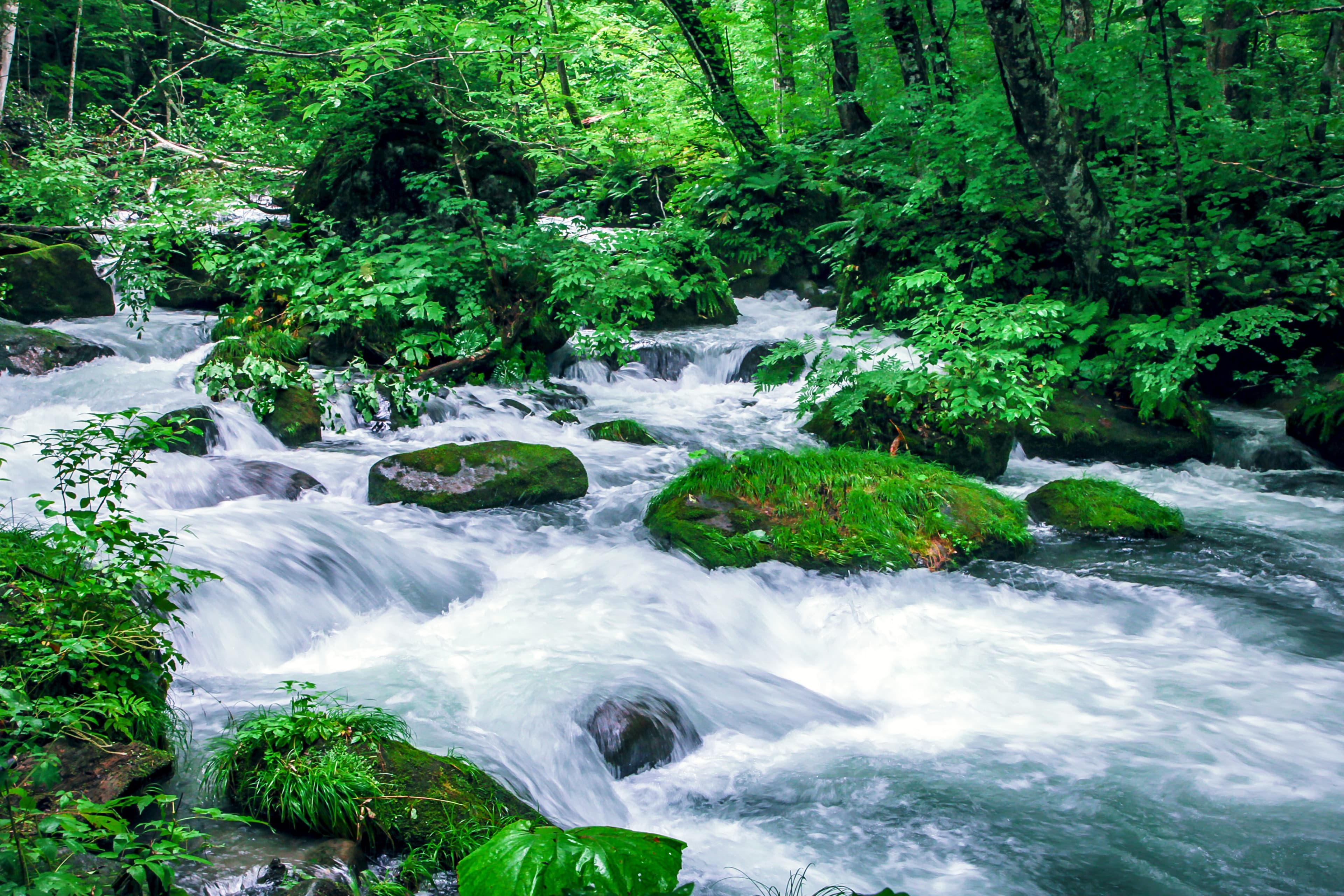 Aomori, Japan