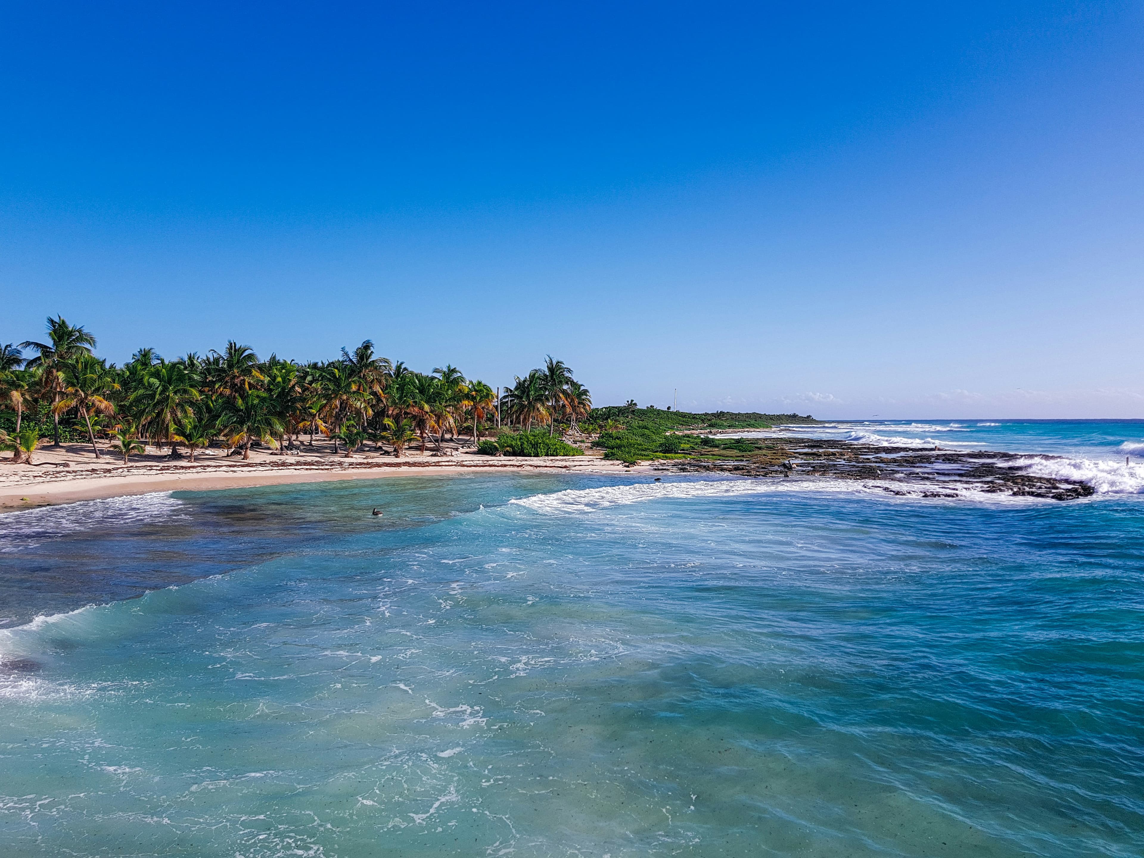 Mxcom Costa Maya, Mexico By Ahmet Demiroğlu Unsplash