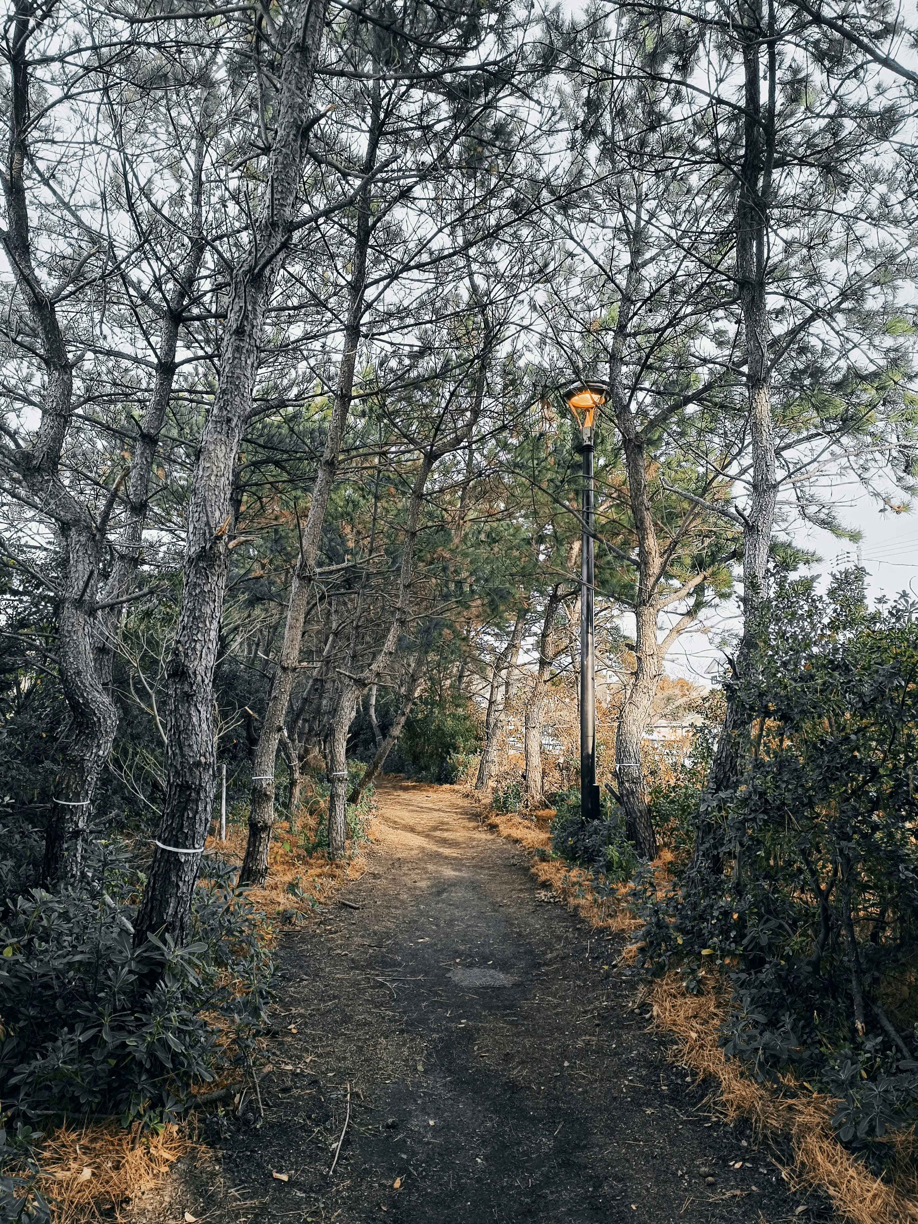 Shimonoseki, Yamaguchi, Japan