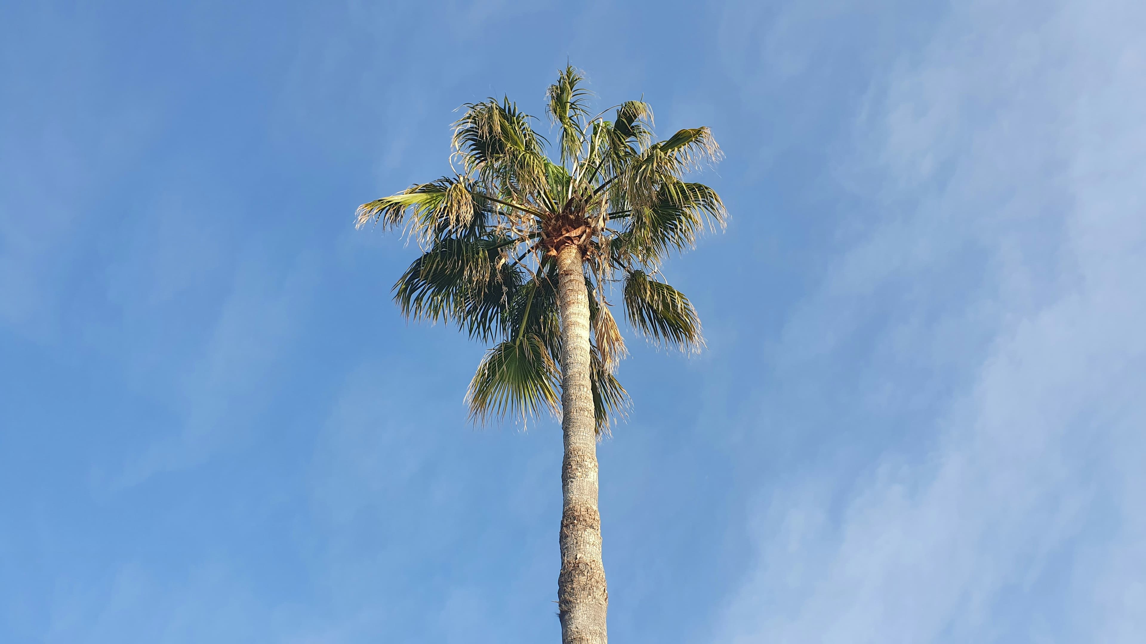Pafos, Cyprus