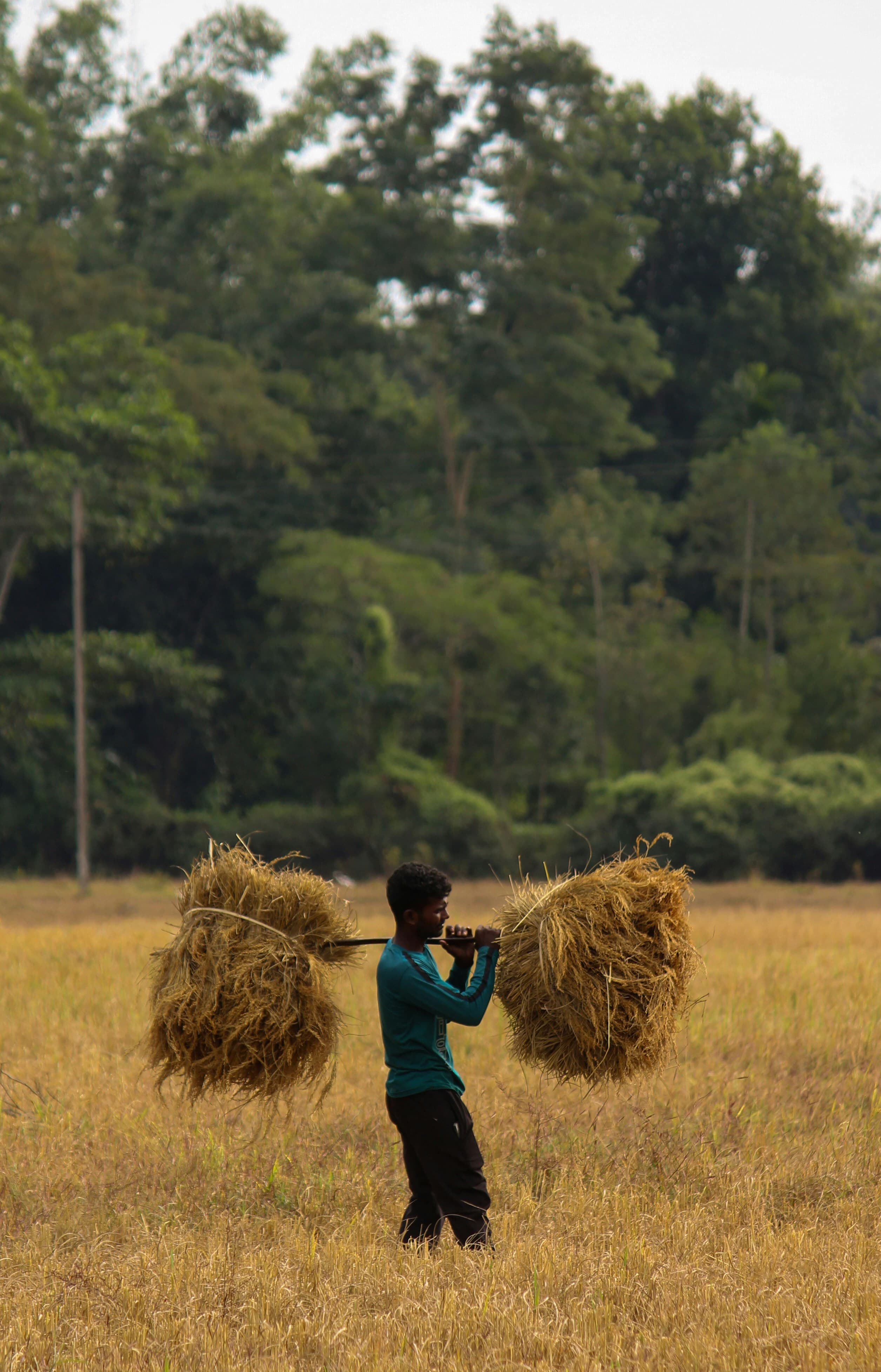 Jorhat, Assam, India