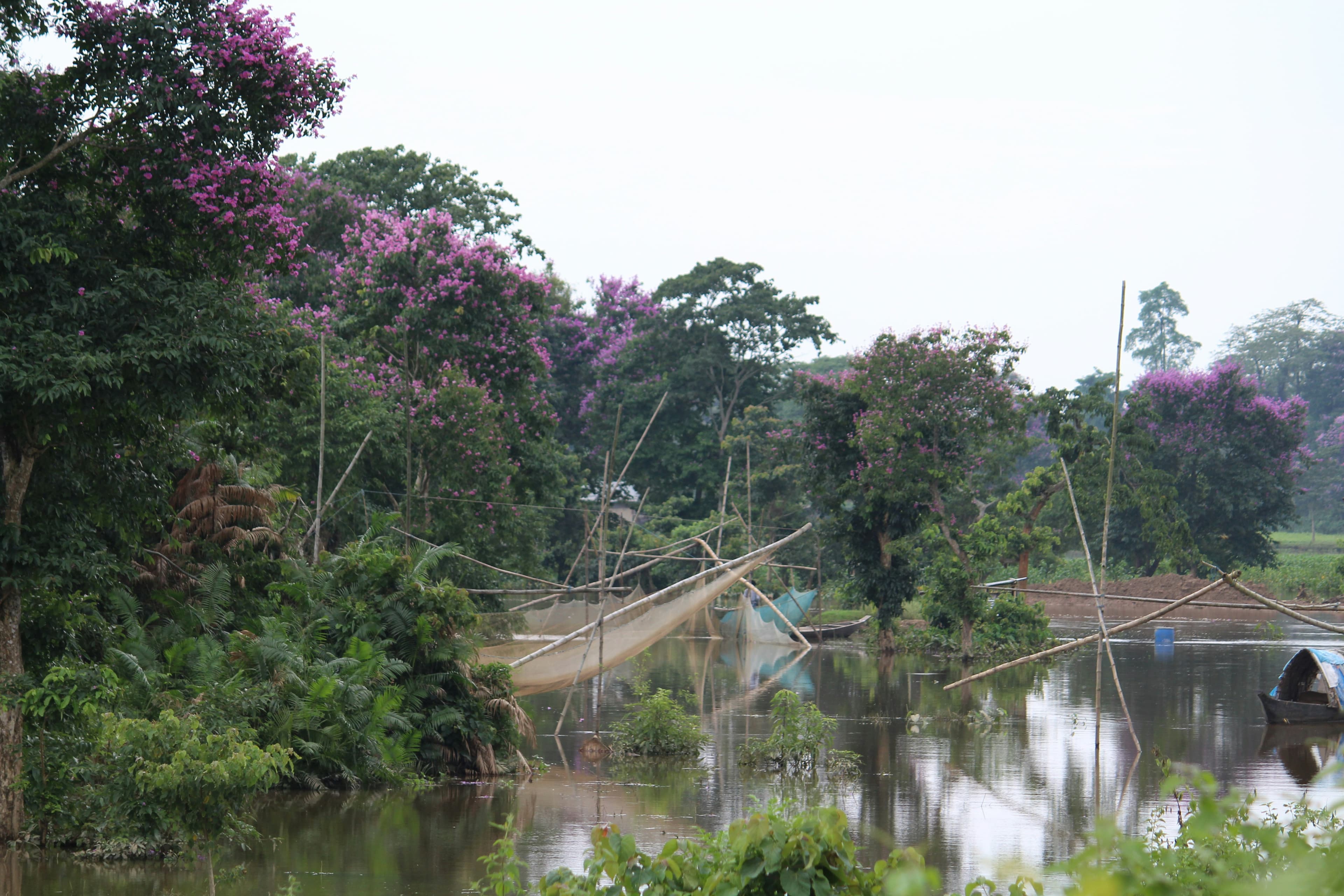 Jorhat, Assam, India
