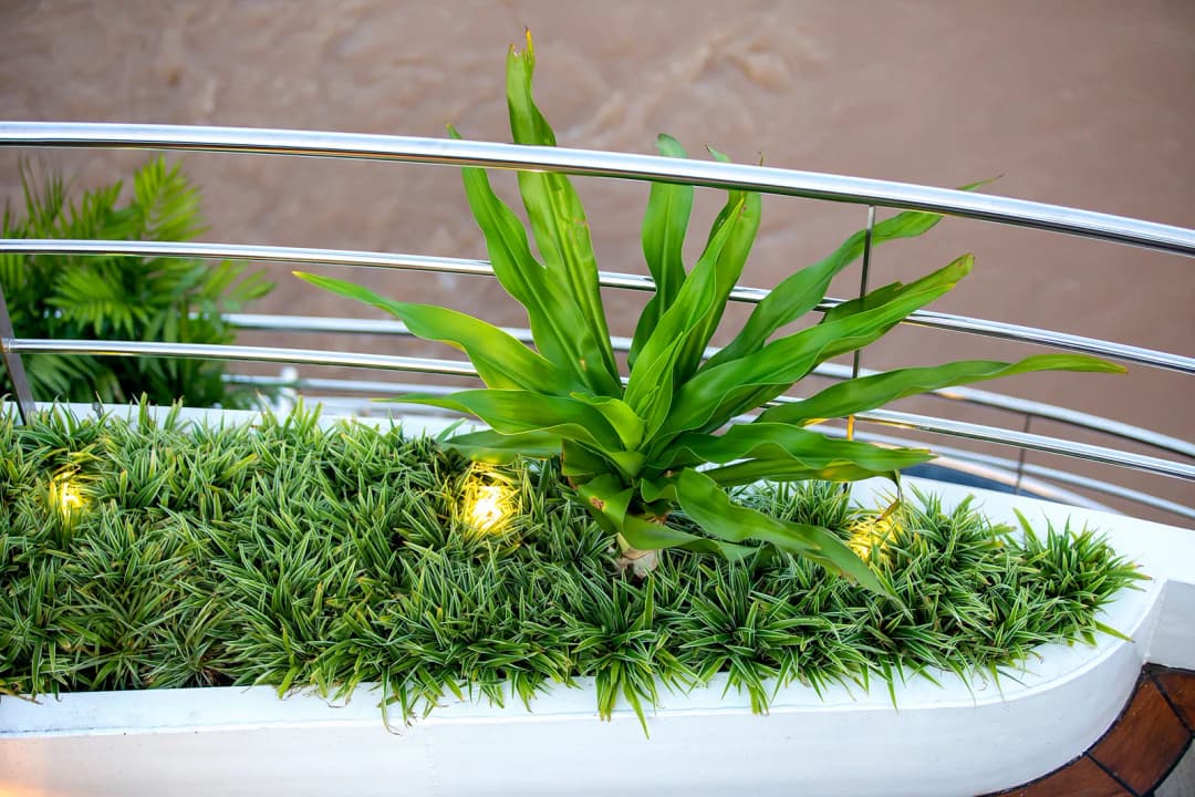 Pool Deck
